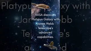 NASA Found a PLATYPUS in Deep Space?! 🌌