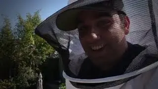 Overcoming Fear of Bees