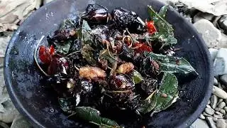 Primitive Technology -  find Beetle - cooking beetle in the clay eating delicious