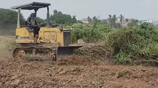 Heavy Bulldozer Removes Trees in Large Plantation Area