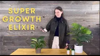Super Growth Elixir by Urban Gardener - How to Use