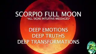 ALL SIGNS 🌕 