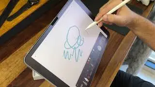 Amazon basics Stylus and cover/case for iPad
