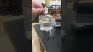 Index of refraction:  Orbeez vs acrylic ball  #physicsninja