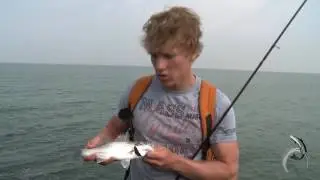 Daniel en Thom vissen op de Noordpier