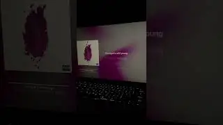 Nicki minaj -  The Night Is Still Young