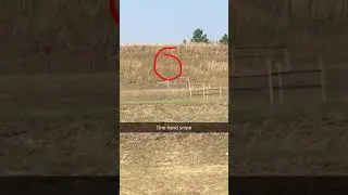 100 yard target shooting with my first AR-15 build
