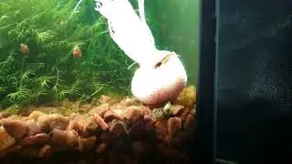 VID 20171007 193559