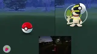 Alolan Sandshrew Spotlight Hour