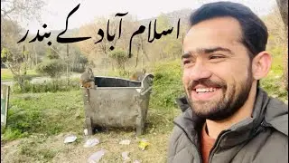 Monkeys in islamabad | Leopard on trail 6 |Faisal mosque islamabad | Najam&Talha Vlogs