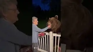 One brave grandma 🐻🥩
