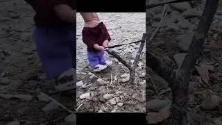 Fred&rsquo;s Outdoor Catapult Test #fingerlife #miniaturelife #miniature #catapult #diy #shootingtime