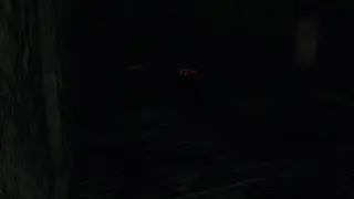 Dark Souls 2,invader build trolling