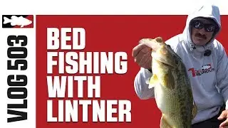Big Bed Fish on Lake Santa Margarita with Jared Lintner - Tackle Warehouse VLOG #503