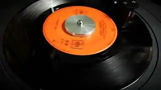The Nopals - Lucio V&aacute;zquez (Los Pavos Reales)