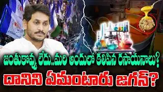 Jagan get caught TTD Fake ghee case regarding no animal fat | KKNewsTelugu