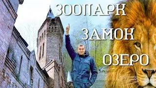 Василівка за 4 місяця до війни, замок Попова, зоопарк, Панське озеро.