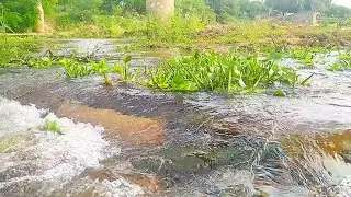 VEJAM A SITUA&Ccedil;&Atilde;O DO RIO SALGADO HOJE 