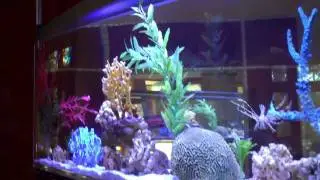 Aquatic Art Inc.'s Spacearium