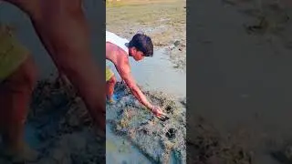 March mara video
