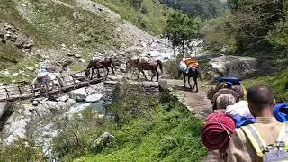 bara bhangal (Barot valley Himachal Pradesh) trek part 1