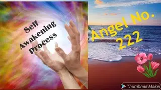 self Awakening Process Angel No. 222  🌹Divine Message For You @CreateYourOwnWorldMeenaSagar
