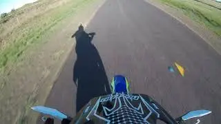 2018 SERCO 300 SE-R TOP SPEED!
