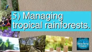 5) Managing tropical rainforests - Powered by @GeographyHawks