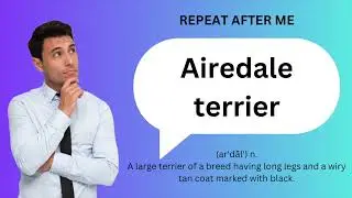 How to SAY and USE 'AIREDALE TERRIER'