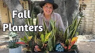 High Impact Planters In The Garden
