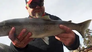 Seatroutfishing  11 APRIL 2018 in Norway