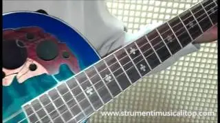 Chitarra Acustica Roundback Santander Blueburst