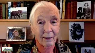 Jane Goodall supporting Conscious planet movement