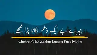 Marti Hui Zameen Ko Bachana Pada Mujhe | Hassan Abbasi | Sad Urdu Poetry | by Salman Ali
