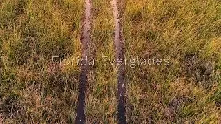 Everglades Sunset 4k