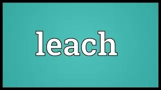 Leach Meaning