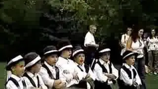Csúfolódó