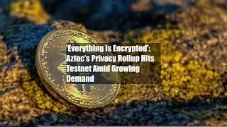 'Everything Is Encrypted': Aztec&rsquo;s Privacy Rollup Hits Testnet Amid Growing Demand