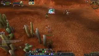 Beast Mastery Hunter pvp BFA beta duels #2