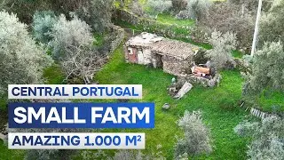 Off-Market Before Launch | Portuguese Countryside Quinta Tour
