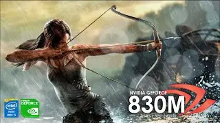 Rise of the Tomb Raider - Nvidia Geforce 830M | 840M