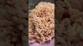 HALI SA&Ccedil;AĞI MANTARI (SA&Ccedil;AK MANTAR AVI)