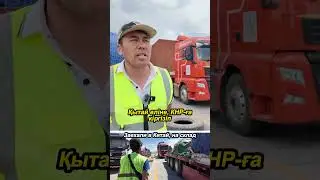 Кто контролирует процесс на границе? #грузоперевозки #логистика