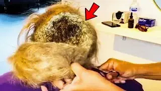 Girl Refuses To Comb Her Hair. Hairdresser Discovers Why & Immediately Calls The Cops!