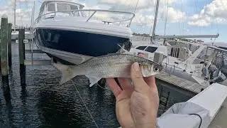 Big baits and lock down tackle fishing around tight structure