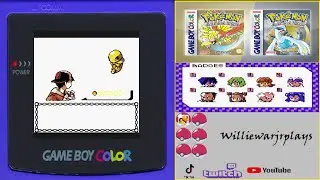 Part 3 Training for the Violet City Gym