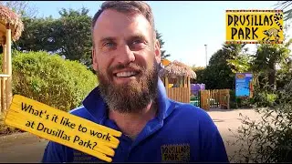 What's it like to work at Drusillas?