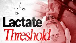 Lactate Threshold: The Key Endurance