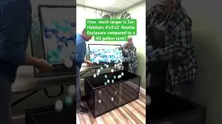 Давайте покажем вам разницу между нашим террариумом 4&rsquo;x2&rsquo;x2&rsquo; и 40-галлонным аквариумом для развед...