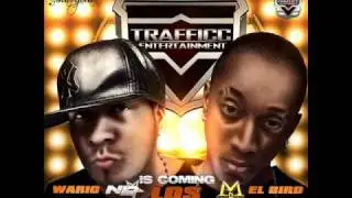Tirate - Wario Y El Bird